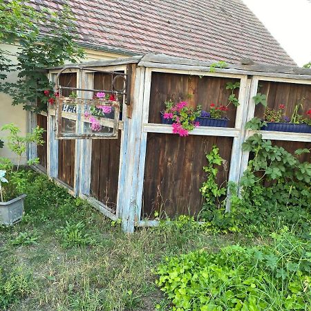 Ostsee Radlerpension Peitz 外观 照片
