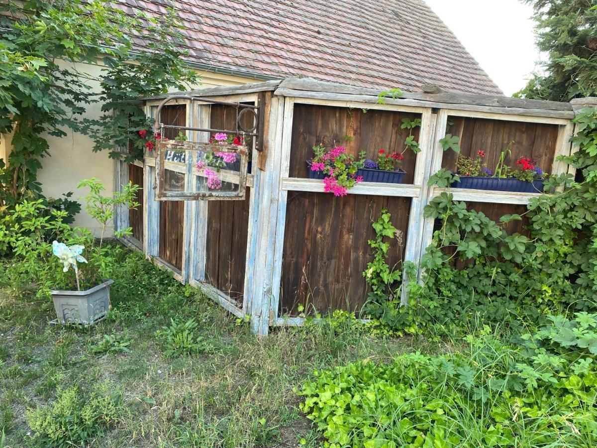 Ostsee Radlerpension Peitz 外观 照片